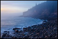 Otter cliff and cobblestones on misty morning. Acadia National Park, Maine, USA.