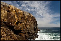 Tall granite headland. Acadia National Park, Maine, USA. (color)