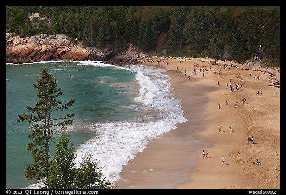 Sand Beach from above. Acadia National Park (color)