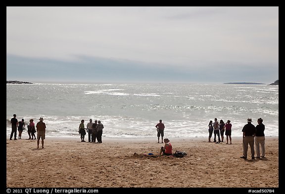 People looking at ocean from Sand Beach. Acadia National Park (color)