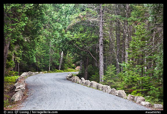 Carriage road in summer. Acadia National Park, Maine, USA.