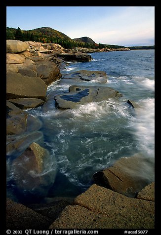 Pink granite slabs on the coast near Otter Point, morning. Acadia National Park