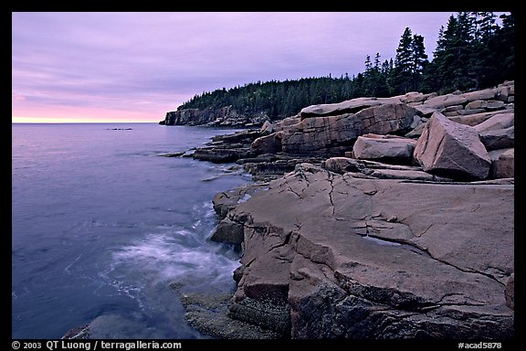 Pink granite slabs on the coast near Otter Point, sunrise. Acadia National Park