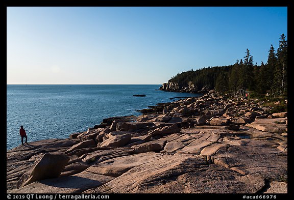 Visitor looking, near Otter Point. Acadia National Park, Maine, USA.