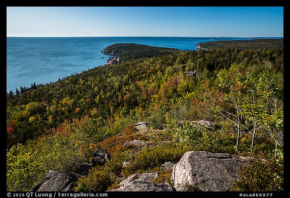 Coast and woods from Gorham Mountain. Acadia National Park (color)