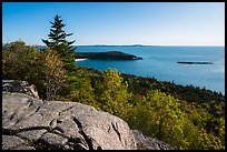 Outcrop, Sand Beach and trees from Gorham Mountain. Acadia National Park ( color)