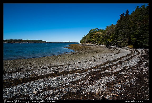 Beach around Bar Harbor Island at low tide. Acadia National Park (color)