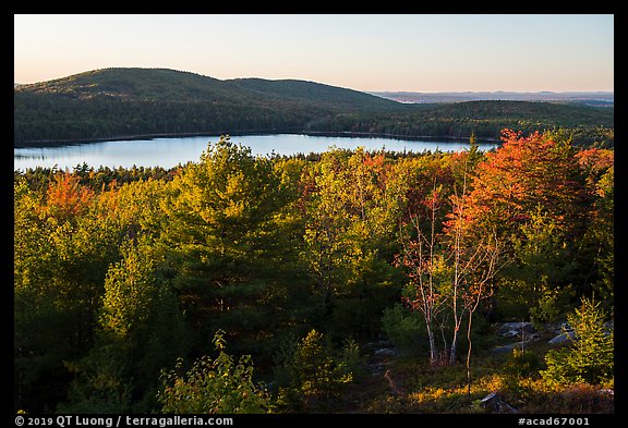 Trees and Eagle Lake, sunset. Acadia National Park, Maine, USA.