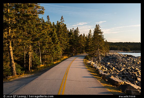 Road, Schoodic Peninsula. Acadia National Park, Maine, USA.