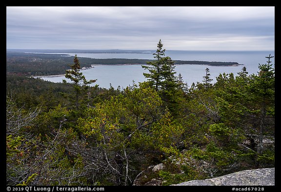 View from Schoodic Head. Acadia National Park, Maine, USA.