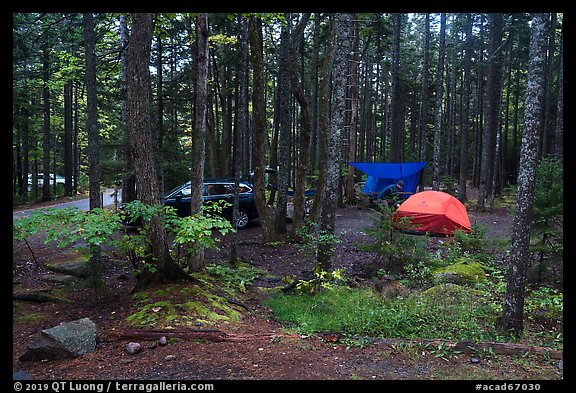 Blackwoods Campground. Acadia National Park (color)