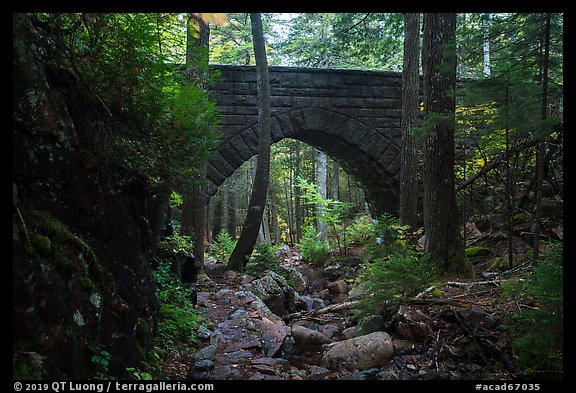 Hemlock Bridge over Maple Spring Brook. Acadia National Park (color)