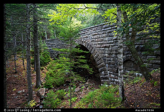 Hemlock Bridge. Acadia National Park (color)