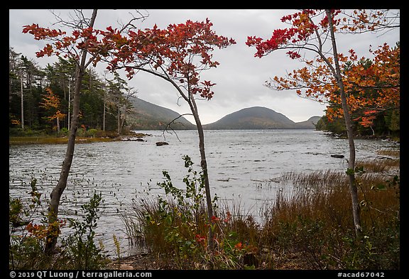 Eagle Lake on cloudy day. Acadia National Park (color)