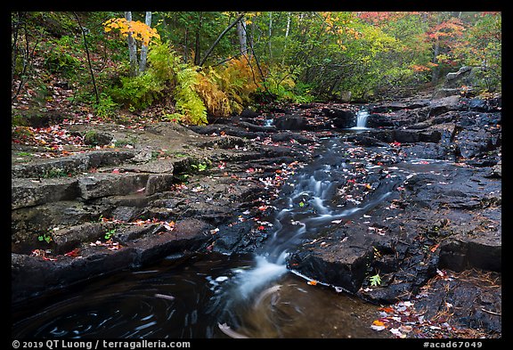 Duck Brook cascades and autumn foliage. Acadia National Park (color)