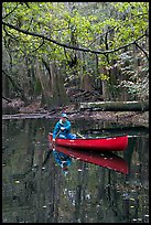 Canoing on Cedar Creek. Congaree National Park, South Carolina, USA. (color)