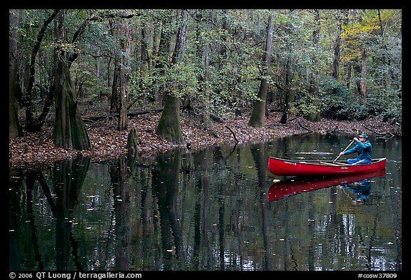 Man paddling a red canoe on Cedar Creek. Congaree National Park (color)
