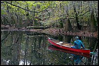 Canoist on Cedar Creek. Congaree National Park, South Carolina, USA.