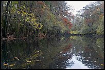 Cedar Creek. Congaree National Park, South Carolina, USA.