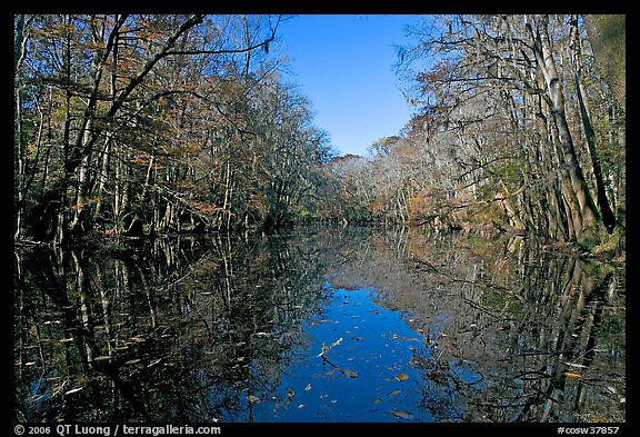 Wise Lake and reflections. Congaree National Park, South Carolina, USA.