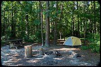 Longleaf Campground. Congaree National Park ( color)