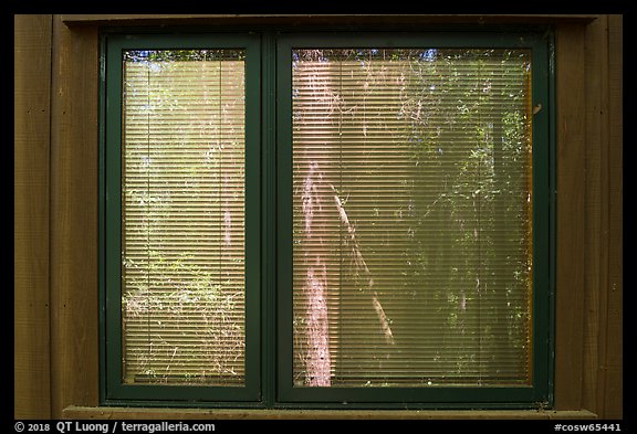 Harry Hampton Visitor Center window reflexion. Congaree National Park (color)