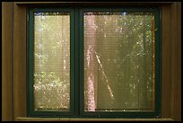 Harry Hampton Visitor Center window reflexion. Congaree National Park ( color)