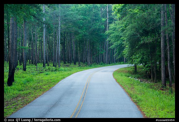 National Park Road. Congaree National Park, South Carolina, USA.
