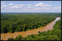 Aerial view of Congaree River. Congaree National Park ( color)
