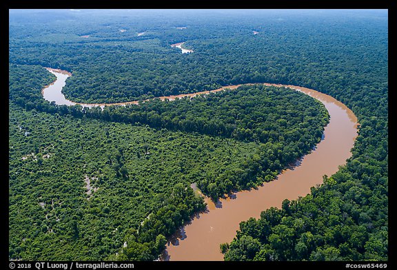 Aerial view of bends of the Congaree River. Congaree National Park, South Carolina, USA.
