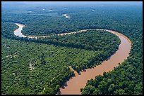 Aerial view of bends of the Congaree River. Congaree National Park ( color)
