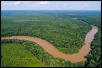 Aerial view of Congaree River bend. Congaree National Park ( color)