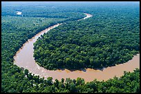 Aerial view of meanders of Congaree River. Congaree National Park ( color)