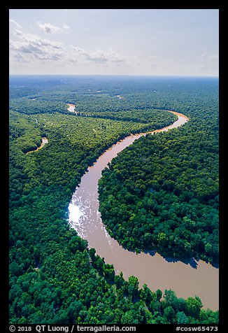 Aerial view of Congaree River with meanders. Congaree National Park (color)