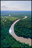 Aerial view of Congaree River with meanders. Congaree National Park ( color)