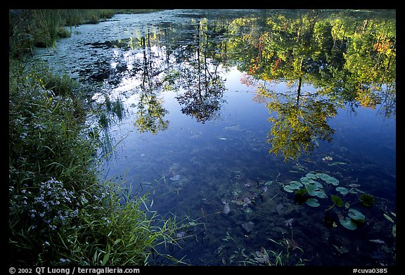 Reflexion on Kendal lake. Cuyahoga Valley National Park