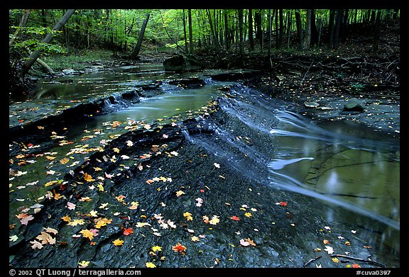 [open edition]   Cascades near Bridalveil falls. Cuyahoga Valley National Park