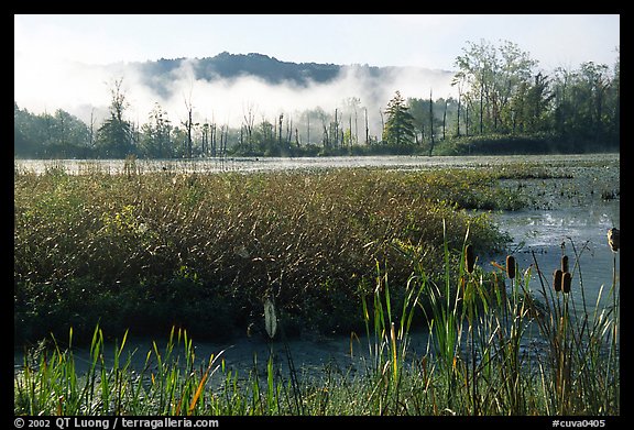 The beaver marsh, early morning. Cuyahoga Valley National Park