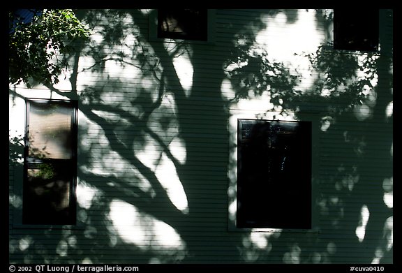 Tree shadows on wall. Cuyahoga Valley National Park, Ohio, USA.