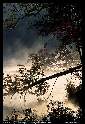Fallen tree and mist, Kendall Lake. Cuyahoga Valley National Park, Ohio, USA.