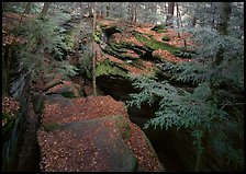 Trees and sandstone blocs,  The Ledges. Cuyahoga Valley National Park, Ohio, USA. (color)