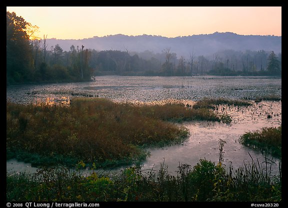 Grasses and Beaver Marsh at sunrise. Cuyahoga Valley National Park (color)
