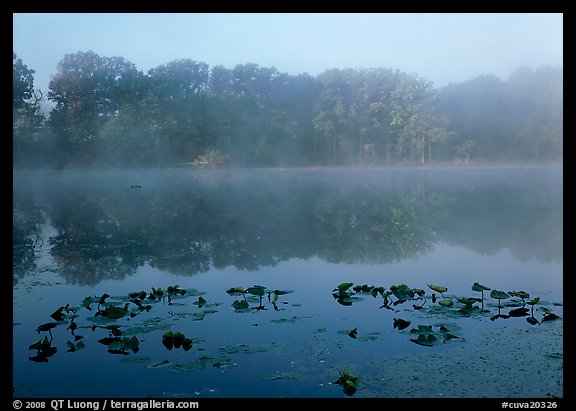 Mist on Kendall Lake, Virginia Kendall Park. Cuyahoga Valley National Park (color)