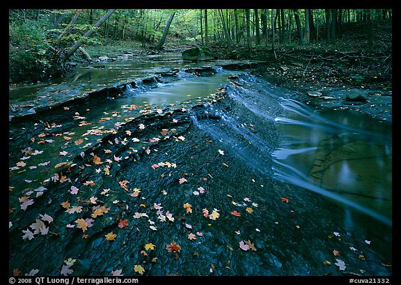 Cascades and fallen leaves. Cuyahoga Valley National Park (color)