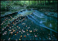 Cascades and fallen leaves. Cuyahoga Valley National Park ( color)