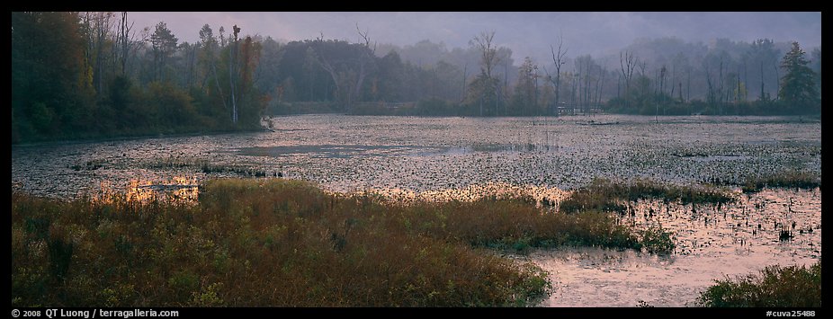 Marsh landscape at dawn. Cuyahoga Valley National Park, Ohio, USA.