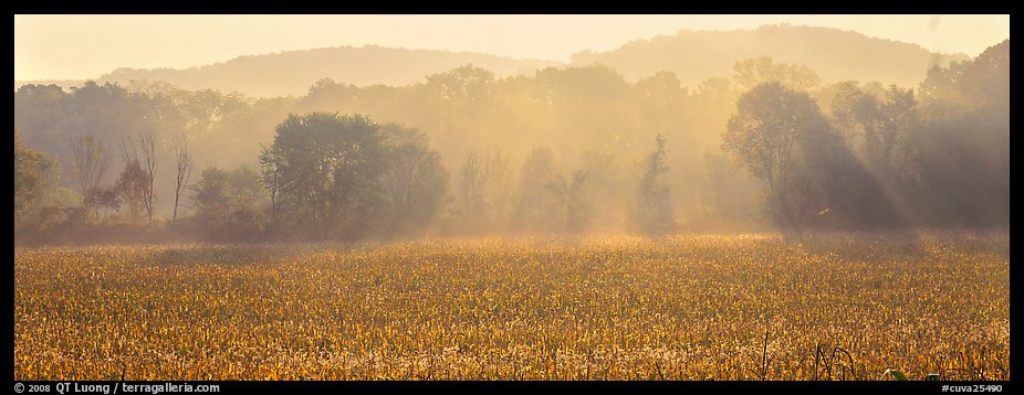 Sunrays in distant mist above field. Cuyahoga Valley National Park, Ohio, USA.