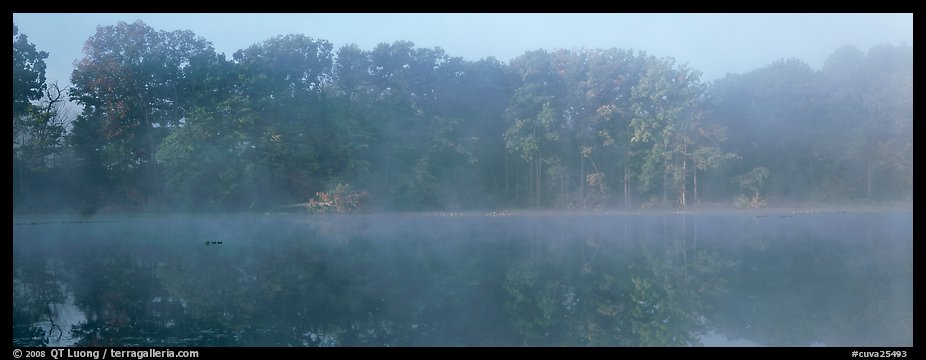 Trees reflected in foggy pond. Cuyahoga Valley National Park (color)