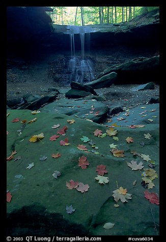 Fallen leaves on green slabs and Blue Hen Falls. Cuyahoga Valley National Park, Ohio, USA.