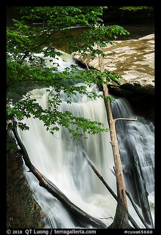 Great Falls with fallen trees, Bedford Reservation. Cuyahoga Valley National Park (color)